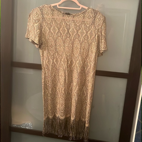 Beautiful Vintage Gold Sheer Dress - Picture 1 of 15